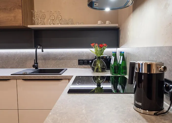 Loft House * Vratislav